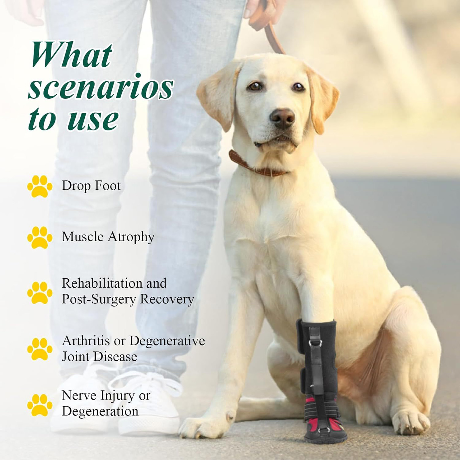 Pet Shoes, Anti Dirt, Anti Dro - مراجعة Outdoor Adventure Shoes وسعره